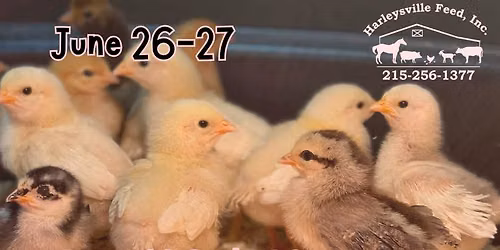 Chick Days 2026-- June 26 & 27 Pick Up