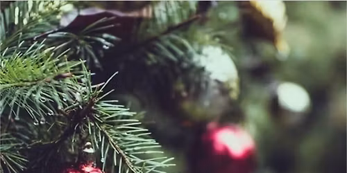 Christmas Market Twilight Event