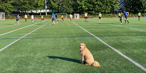 Coed Lazy & Lousy Phootball [Soccer]