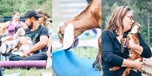 🐐✨ Goat Yoga & Baby Goat Snuggles ✨🐐
