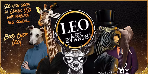 Leo tanzt - Ein flirt ist Tanzbar!