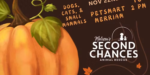 Adoption Event at PetSmart Merriam