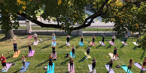 Pop-Up Yoga with Ture Love Yoga