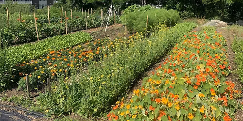 Bladensburg Farm Open House