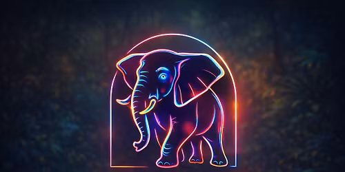 Elephunk in the Wild