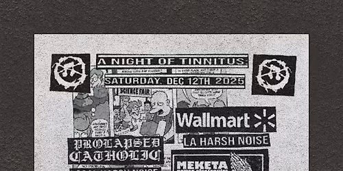 A Night of Tinnitus