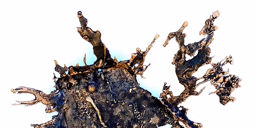 Whether or Not - Gallery Opening of Bert Gilbert