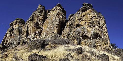 History & Natural History of the Bluff