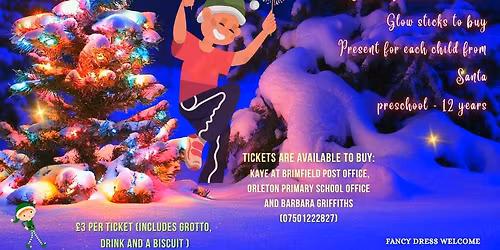 Brimfield Disco Christmas Party