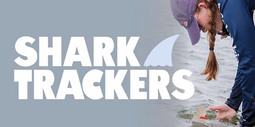 Shark Trackers