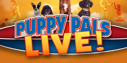 Puppy Pals Live at Arlington Music Hall