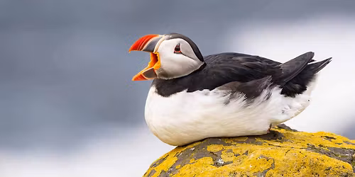 ECOC Lecture: Iceland, Land of Midnight Sun, Gr\u00edmsey & Flatey Islands