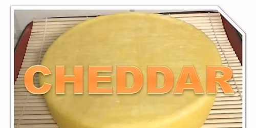 Cheesemaking - CHEDDAR