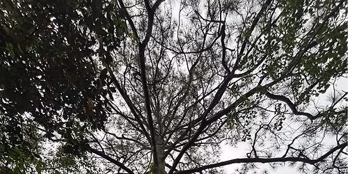 Belonging to the Land: A Field Workshop