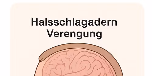 Tag der offene T\u00fcr: Halsschlagader Zentrum f\u00fcr Gef\u00e4\u00dfchirurgie D\u00fcsseldorf