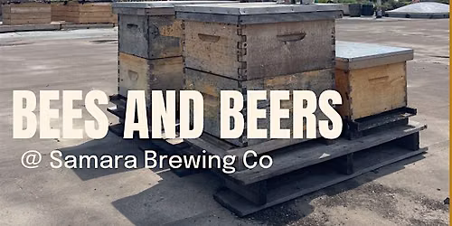 Bees and Beers