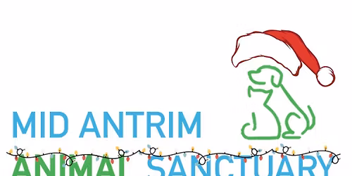 Christmas Fair and Open day event 