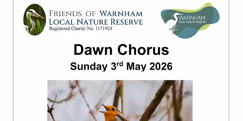 Dawn Chorus