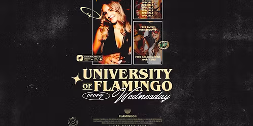 University of Flamingo \ud83c\udf93