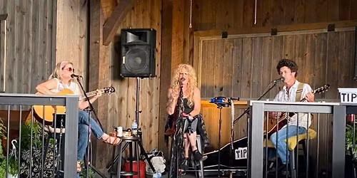 Rumours Unplugged Trio