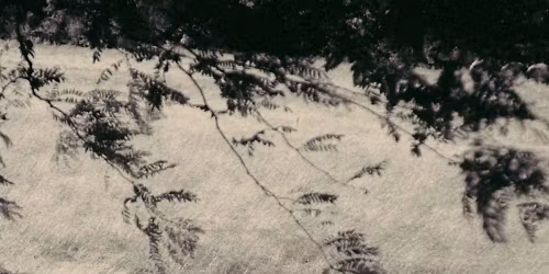 Nolen Durham, Vacation Manor in Washington