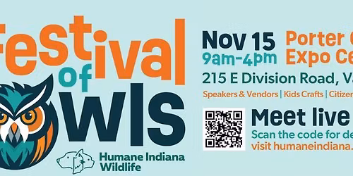 Festival of Owls 