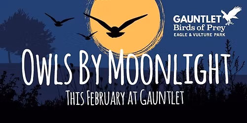 Owls By Moonlight Evening, Saturday 14th February 2026