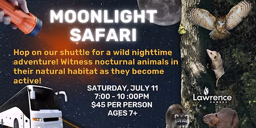 MOONLIGHT SAFARI