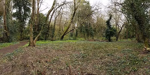 Volunteer Working Party at Kings Weston