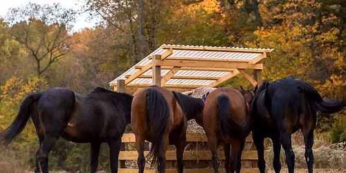 Christmas at the Ranch 