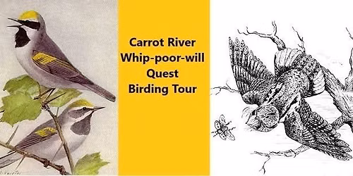 Carrot River Whip-poor-will Quest Birding Tour