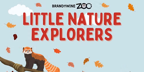 Little Nature Explorers - Fall Session