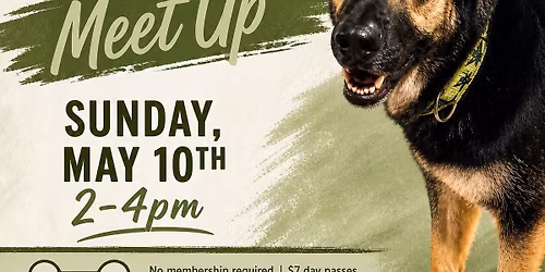 German Shepherd Meet Up at Dog Bar Sarasota
