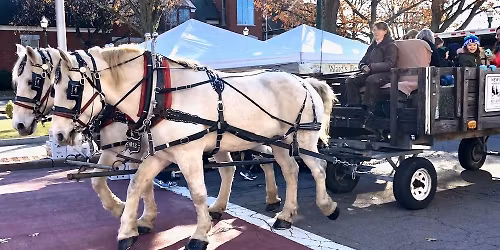 Braintree Thanksgiving Holiday Farmers Market