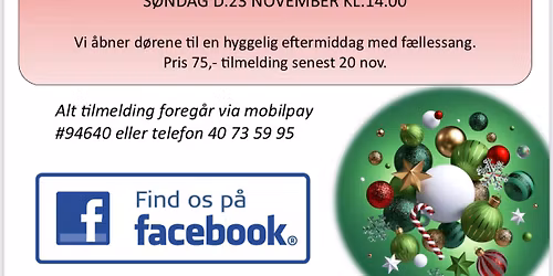 Julefrokost 8 nov