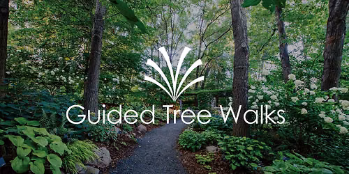 Guided Tree Walks