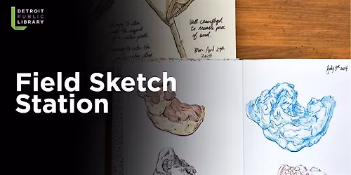 Field Sketch Station