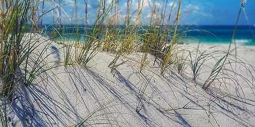 St. Andrews State Park Beach Cleanup \ud83c\udf0a