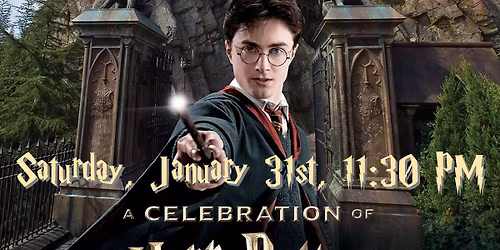 Harry Potter has questions (Costume party)