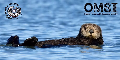 Science Pub Talk: Sea Otters