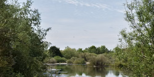 Photography and Wildlife Walks
