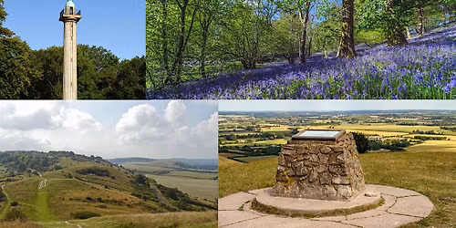 Bluebell Hike around the Chiltern Hills 17km via Ivinghoe Beacon