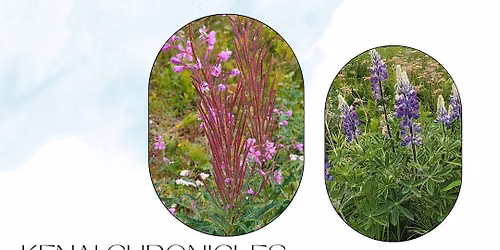 Kenai Chronicles: Beyond the Exhibit - Native Plant Walk with Brandi Bell