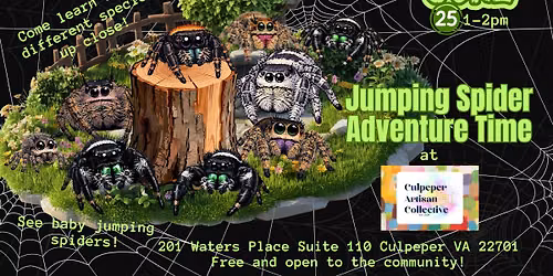 Jumping Spider Adventure Time at Culpeper Artisan Collective