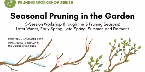 Seasonal Pruning in the Garden: Workshop Series
