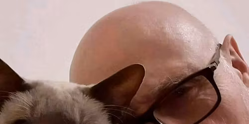 Music For Windsor Cats