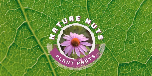 Nature Nuts: Plant Parts