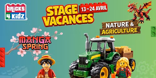 NICE : Stages Vacances LEGO\u00ae