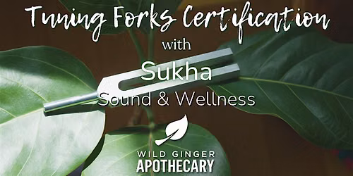 2-Day Sound Healer Certification in Tuning Forks