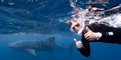 Whale Sharks, Cape Range and Ningaloo Adventure
